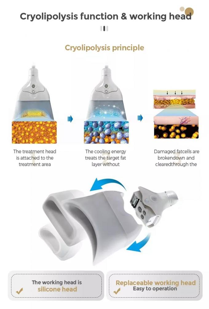 أفضل علاج تجميد الدهون لتدمير الخلايا الدهنية بشكل دائم