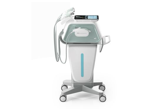New Skin Care System Vortex Vacuum Therapy Hydrafacial With Plasma Sterilization Ultrasound RF Tighten The Skin