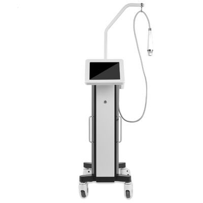 Vertical Microneedles RF Korea Secret RF Technology Professional For Acne Scars Pox Pits Treatment Tummy Tuck