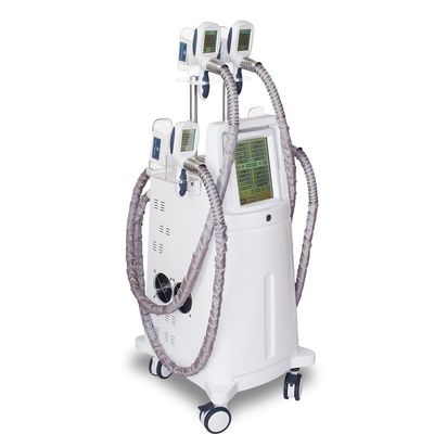 Fat Removal Procedure Cryolipolysis for Excess Fat  Cryotherapy Slimming Machine