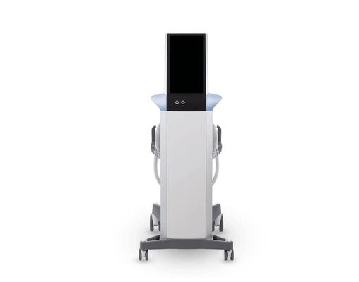 Slim Vibration Machine Body slimming treatment Device EMShape HIEMT FEM EMS Slim Sculpt Machine 4 Handles