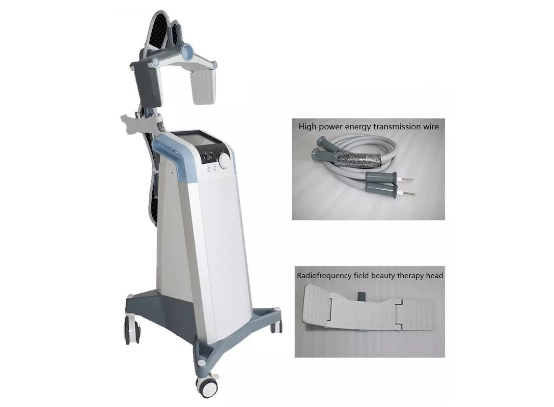 Professional Local Fat Removal RF Machine Non Contact Technology Vanquished RF Body Slimming Equipment